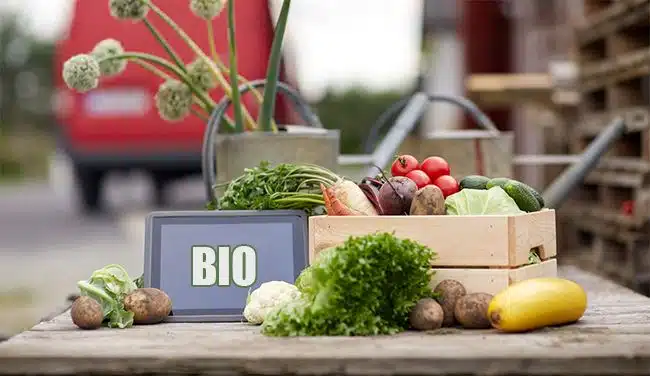 Jaké BIO potraviny se vyplatí nakupovat?