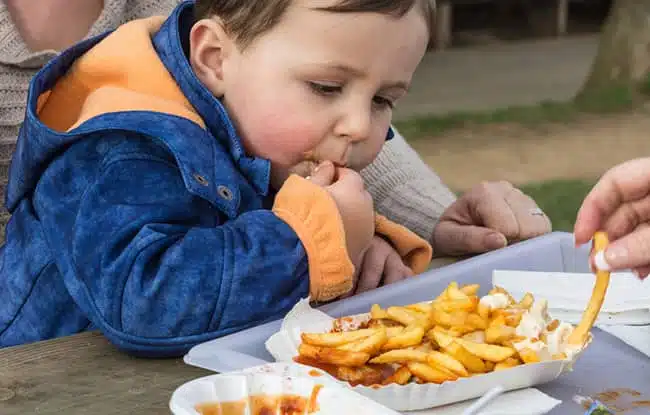 Dětská obezita a její příčiny aneb, kdo za to může + JÍDELNÍČEK